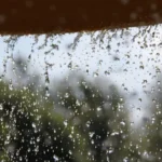 हरियाणा के 4 जिलों में आज भारी बारिश और तेज आंधी का अलर्ट, 50 KM/घंटा की रफ्तार से चलेंगी हवाएं; IMD ने किया अलर्ट जारी
